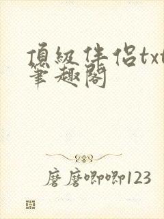 顶级伴侣txt笔趣阁