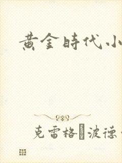 黄金时代小说