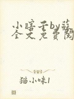 小瞎子by苏软全文免费阅读