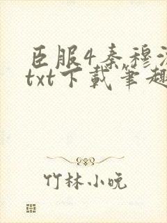 臣服4秦穆沈流txt下载笔趣阁