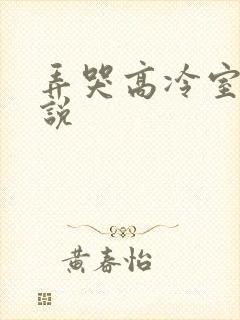 弄哭高冷室友小说