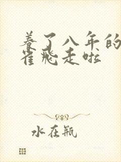 养了八年的金丝雀飞走啦