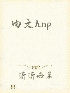 肉文hnp