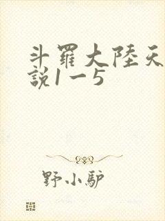 斗罗大陆天狂传说1一5