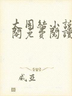 大团结小说笔趣阁免费阅读