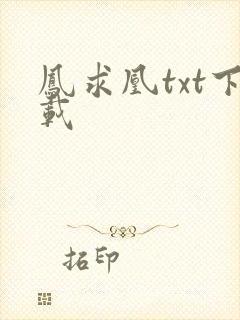 凤求凰txt下载