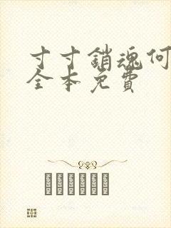 寸寸销魂何生祥全本免费