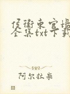 侯卫东官场笔记全集txt下载