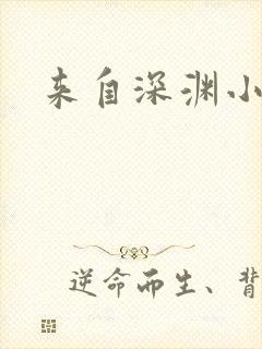 来自深渊小说