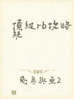 顶级rb攻略系统