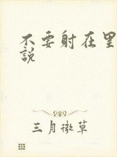 不要射在里面小说