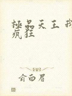 极品天王 我本疯狂