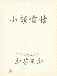 小说偷情