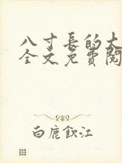 八寸长的大宝贝全文免费阅读