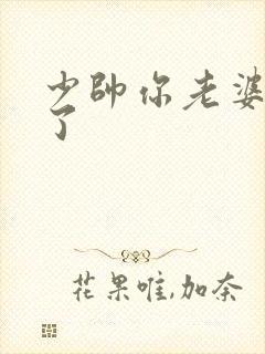 少帅你老婆又跑了