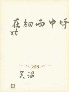 在细雨中呼喊txt