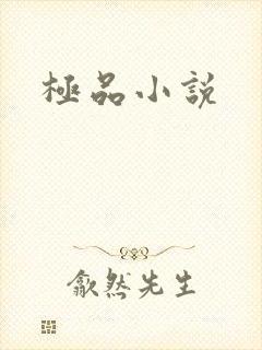 极品小说