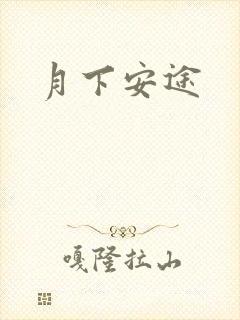 月下安途