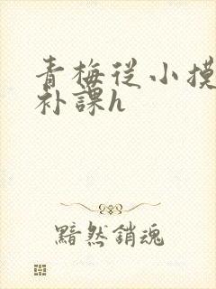 青梅从小摸到大补课h