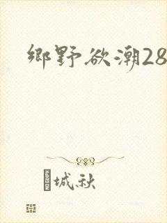 乡野欲潮28章