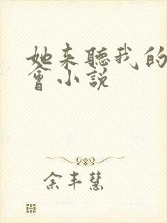 她来听我的演唱会小说