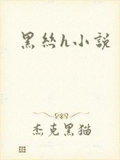 黑丝h小说