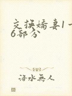 交换娇妻1一36部分