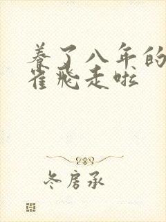 养了八年的金丝雀飞走啦