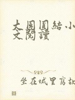 大团圆结小茹全文阅读