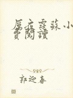 厉夜霆苏小汐免费阅读