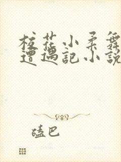 校花小柔舞蹈室遭遇记小说