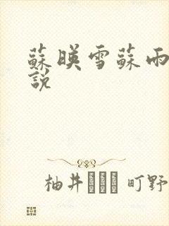 苏映雪苏雨柔小说
