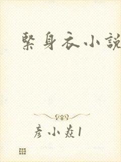 紧身衣小说