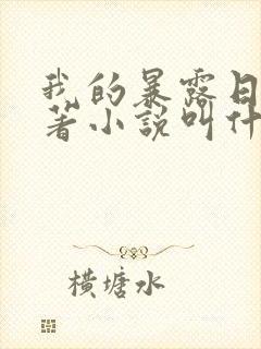 我的暴露日记原著小说叫什么