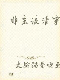 非主流清穿