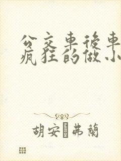 公交车后车座的疯狂的做小