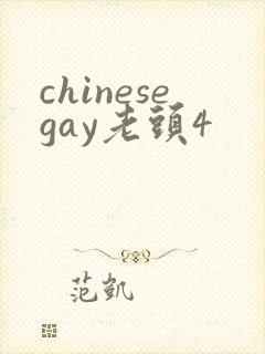 chinesegay老头4