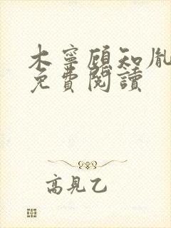 木宁顾知胤小说免费阅读