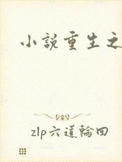 小说重生之官道