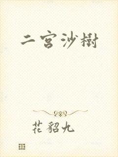 二宫沙树