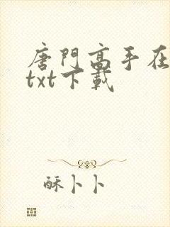 唐门高手在异世txt下载