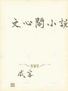 文心阁小说