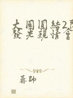 大团圆结2闪闪发光亲情会