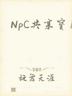 NpC共享宝贝