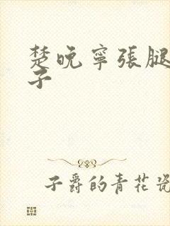 楚晚宁张腿放棋子