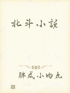 北斗小说