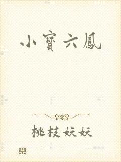 小宝六凤