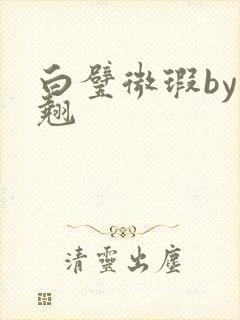 白璧微瑕by连翘