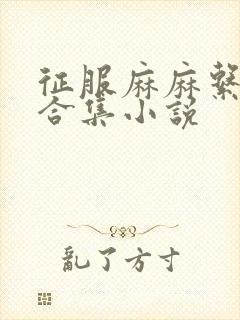 征服麻麻系列大合集小说