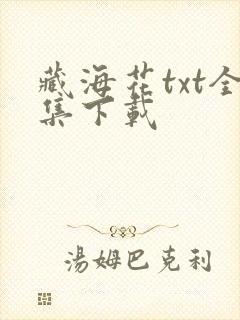 藏海花txt全集下载